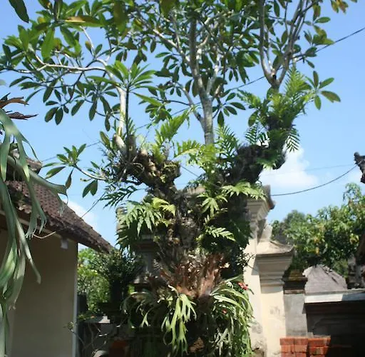 Nugraha 1